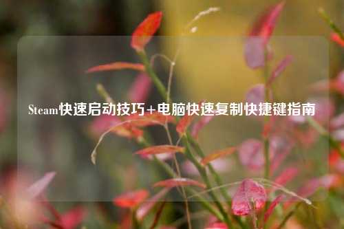Steam快速启动技巧+电脑快速***快捷键指南