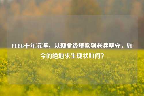 PUBG十年沉浮,从现象级爆款到老兵坚守,如今的绝地求生现状如何?