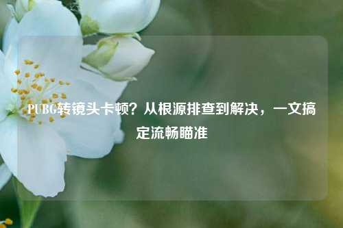 PUBG转镜头卡顿?从根源排查到解决,一文搞定流畅瞄准