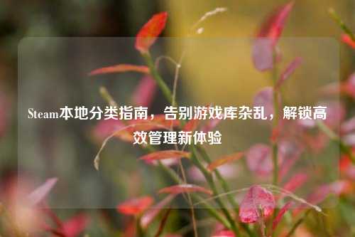 Steam本地分类指南,告别游戏库杂乱,解锁高效管理新体验
