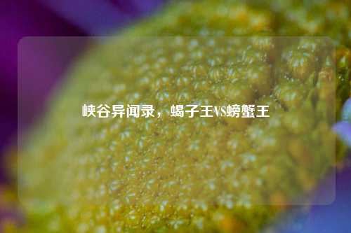 峡谷异闻录,蝎子王VS螃蟹王