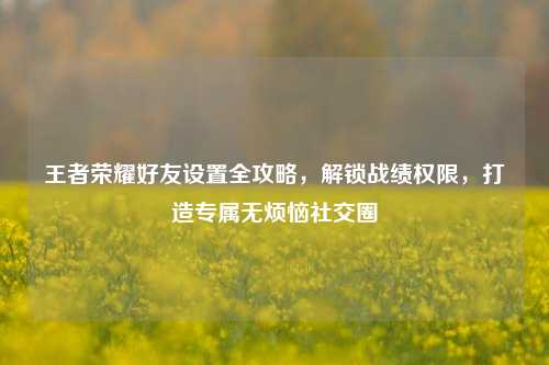 王者荣耀好友设置全攻略,解锁战绩权限,打造专属无烦恼社交圈