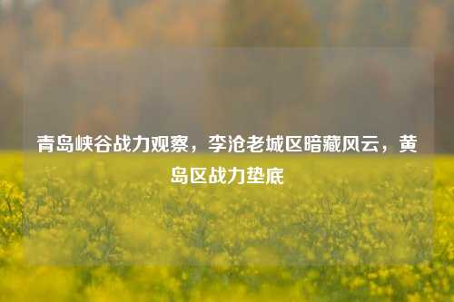 青岛峡谷战力观察,李沧老城区暗藏风云,黄岛区战力垫底