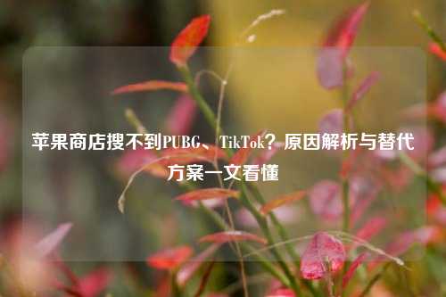 苹果商店搜不到PUBG、TikTok?原因解析与替代方案一文看懂