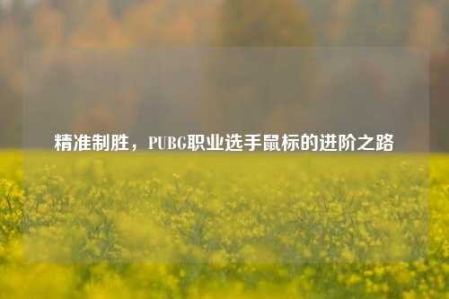 精准制胜,PUBG职业选手鼠标的进阶之路