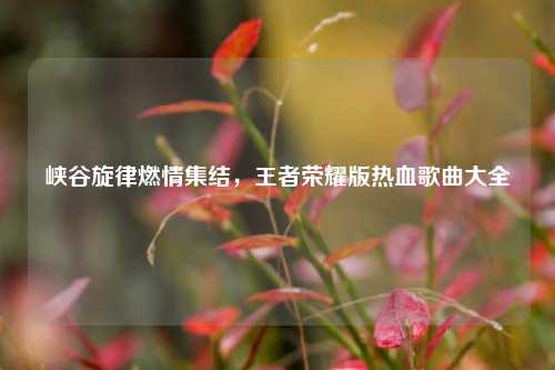 峡谷旋律燃情集结,王者荣耀版热血歌曲大全