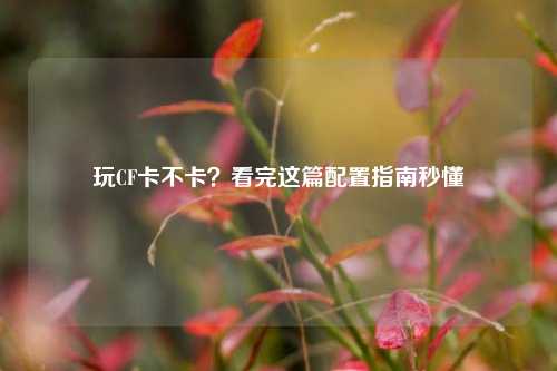 玩CF卡不卡?看完这篇配置指南秒懂