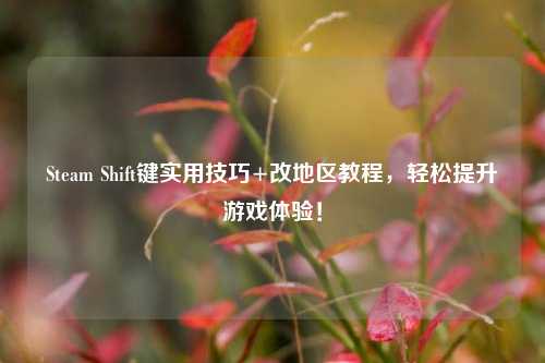 Steam Shift键实用技巧+改地区教程,轻松提升游戏体验!