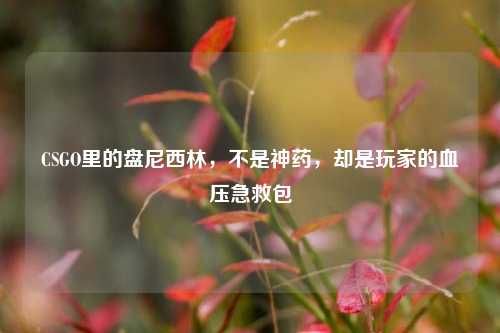 CSGO里的盘尼西林,不是神药,却是玩家的血压急救包