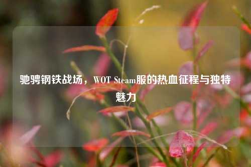 驰骋钢铁战场,WOT Steam服的热血征程与独特魅力