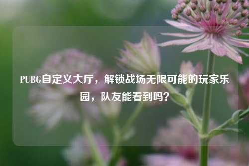 PUBG自定义大厅，解锁战场无限可能的玩家乐园，队友能看到吗？