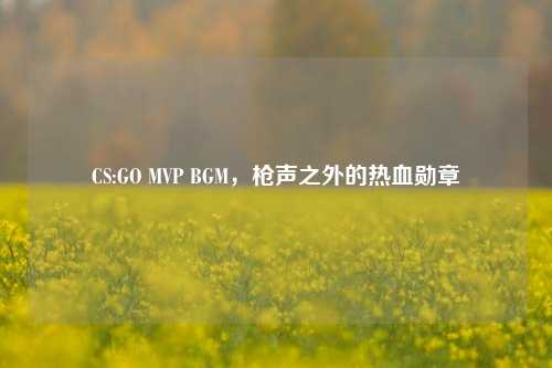CS:GO MVP BGM,枪声之外的热血勋章