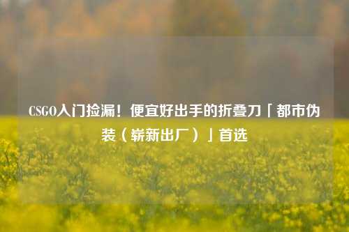 CSGO入门捡漏!便宜好出手的折叠刀「都市伪装(崭新出厂)」首选