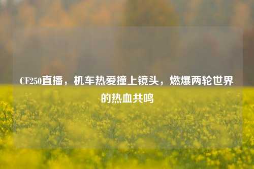 CF250直播,机车热爱撞上镜头,燃爆两轮世界的热血共鸣