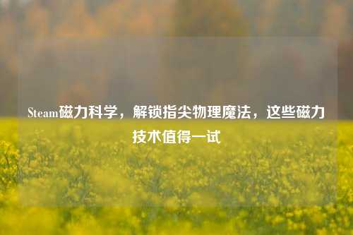 Steam磁力科学,解锁指尖物理魔法,这些磁力技术值得一试