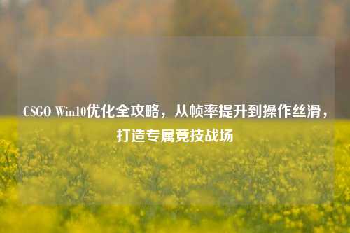 CSGO Win10优化全攻略,从帧率提升到操作丝滑,打造专属竞技战场