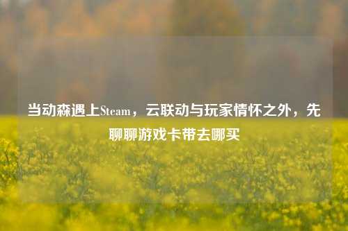 当动森遇上Steam,云联动与玩家情怀之外,先聊聊游戏卡带去哪买