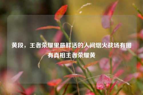 黄段,王者荣耀里最鲜活的人间烟火战场有图有真相王者荣耀黄