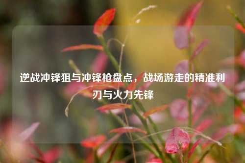 逆战冲锋狙与冲锋枪盘点,战场游走的精准利刃与火力先锋