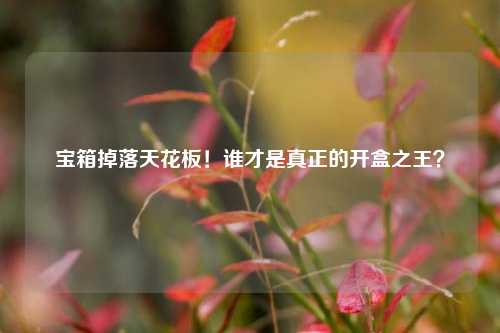 宝箱掉落天花板!谁才是真正的开盒之王?