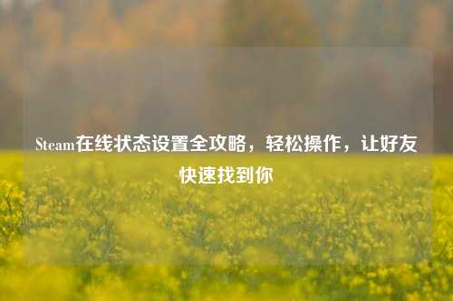 Steam在线状态设置全攻略,轻松操作,让好友快速找到你