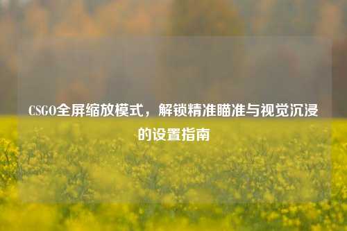 CSGO全屏缩放模式,解锁精准瞄准与视觉沉浸的设置指南