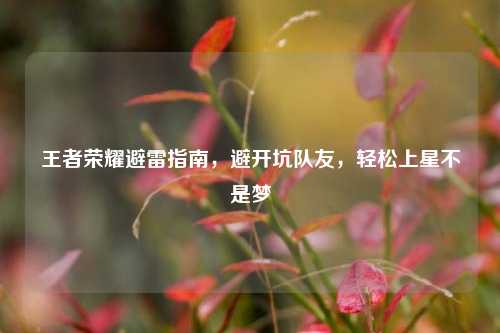 王者荣耀避雷指南,避开坑队友,轻松上星不是梦