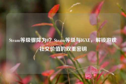 Steam等级骤降为0?Steam等级与IGXE,解锁游戏社交价值的双重密钥