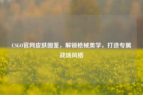 CSGO官网皮肤图鉴，解锁枪械美学，打造专属战场风格