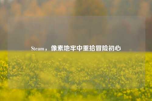 Steam,像素地牢中重拾冒险初心