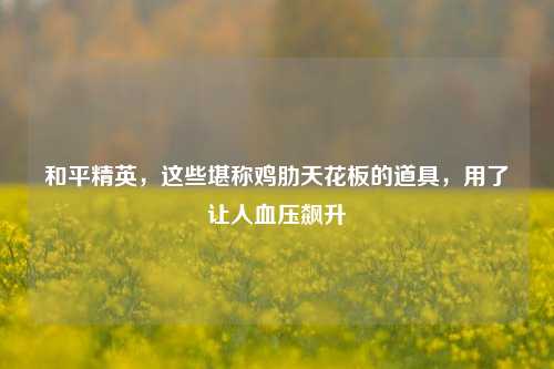 和平精英,这些堪称鸡肋天花板的道具,用了让人血压飙升