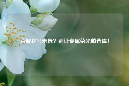 荣耀称号未选?别让专属荣光躺仓库!
