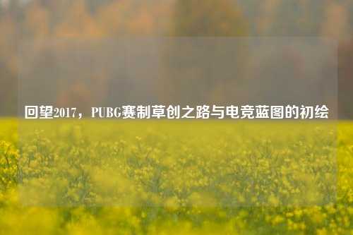 回望2017,PUBG赛制草创之路与电竞蓝图的初绘