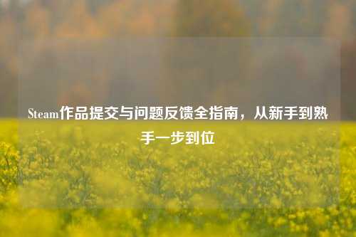 Steam作品提交与问题反馈全指南,从新手到熟手一步到位
