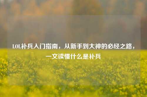 LOL补兵入门指南,从新手到大神的必经之路,一文读懂什么是补兵