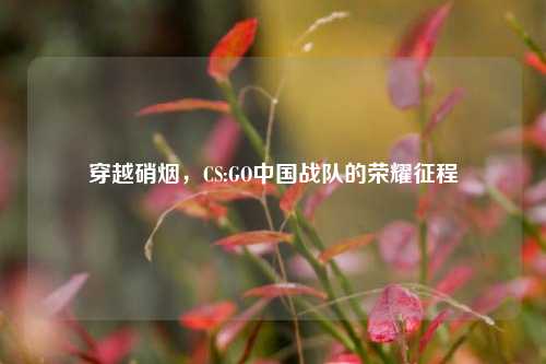 穿越硝烟,CS:GO中国战队的荣耀征程