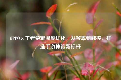 OPPO×王者荣耀深度优化,从帧率到触控,打造手游体验新标杆