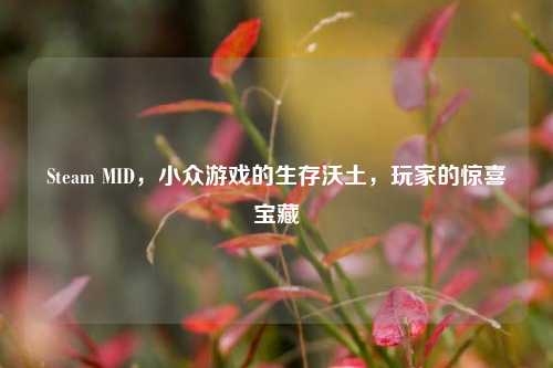 Steam MID,小众游戏的生存沃土,玩家的惊喜宝藏