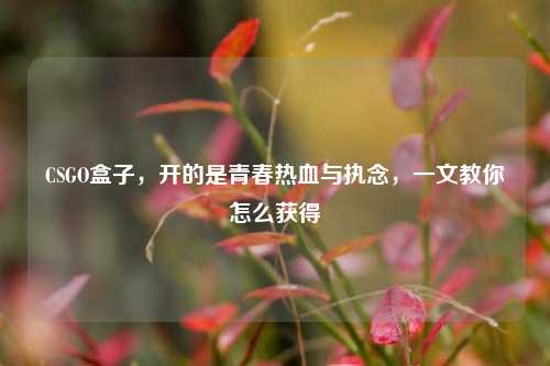 CSGO盒子,开的是青春热血与执念,一文教你怎么获得
