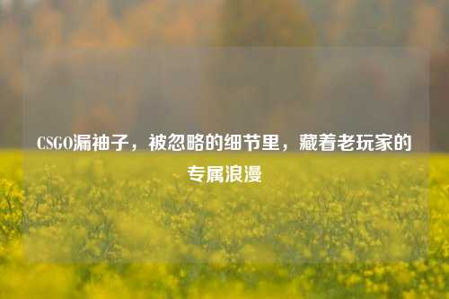 CSGO漏袖子，被忽略的细节里，藏着老玩家的专属浪漫