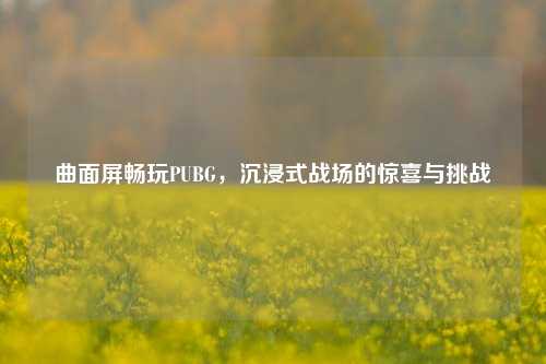 曲面屏畅玩PUBG，沉浸式战场的惊喜与挑战