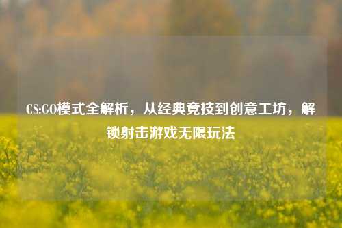 CS:GO模式全解析,从经典竞技到创意工坊,解锁射击游戏无限玩法