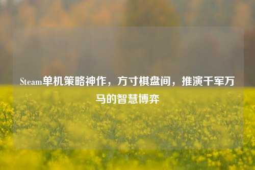 Steam单机策略神作,方寸棋盘间,推演千军万马的智慧博弈