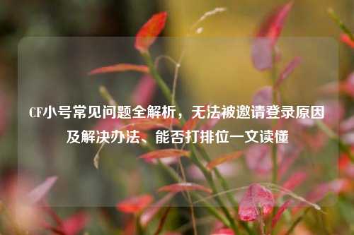 CF小号常见问题全解析,无法被邀请登录原因及解决办法、能否打排位一文读懂