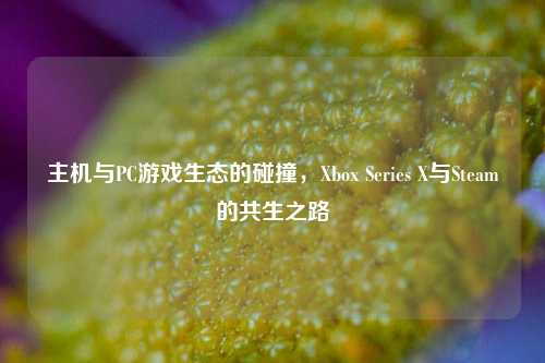 主机与PC游戏生态的碰撞,Xbox Series X与Steam的共生之路