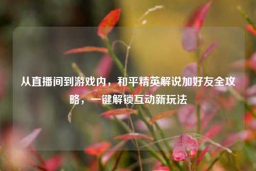 从直播间到游戏内,和平精英解说加好友全攻略,一键解锁互动新玩法
