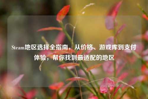 Steam地区选择全指南,从价格、游戏库到支付体验,帮你找到最适配的地区