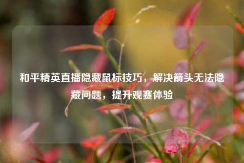 和平精英直播隐藏鼠标技巧,解决箭头无法隐藏问题,提升观赛体验
