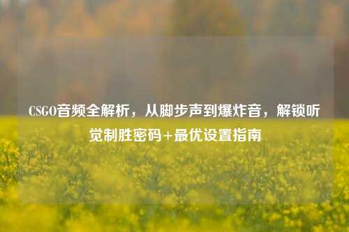 CSGO音频全解析,从脚步声到爆炸音,解锁听觉制胜密码+更优设置指南