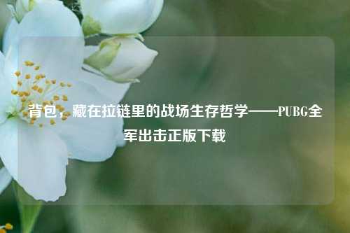 背包,藏在拉链里的战场生存哲学——PUBG全军出击正版下载